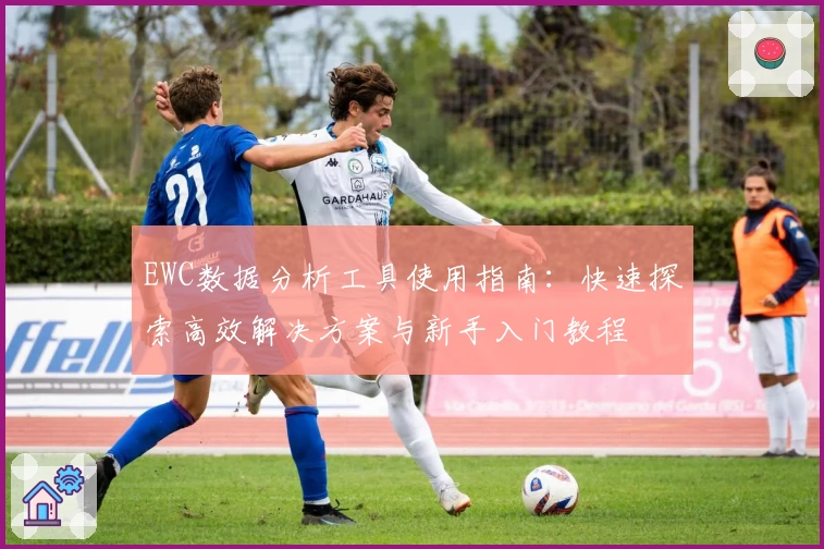 EWC数据分析工具使用指南：快速探索高效解决方案与新手入门教程
