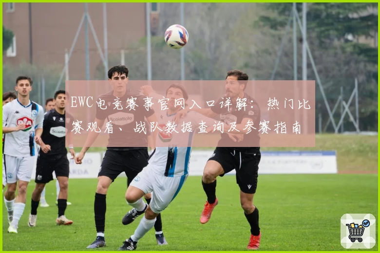 EWC电竞赛事官网入口详解：热门比赛观看、战队数据查询及参赛指南一站式服务