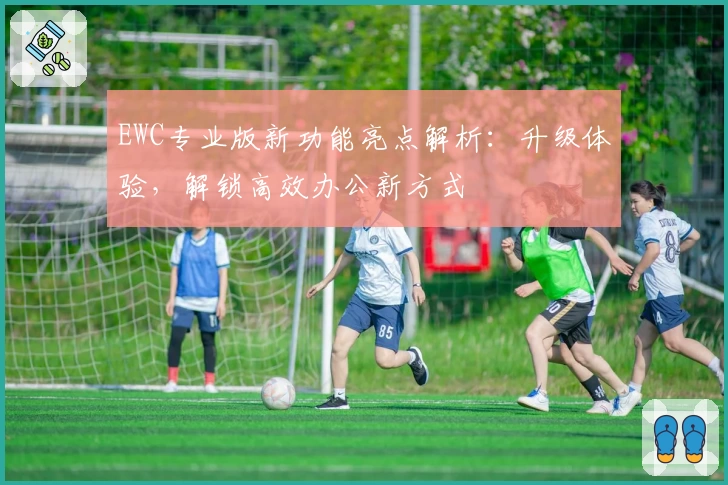EWC专业版新功能亮点解析：升级体验，解锁高效办公新方式