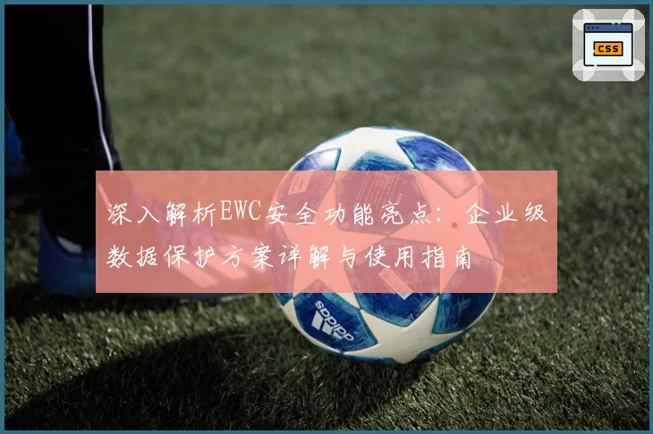 深入解析EWC安全功能亮点:企业级数据保护方案详解与使用指南